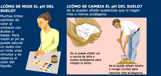 Ph del suelo