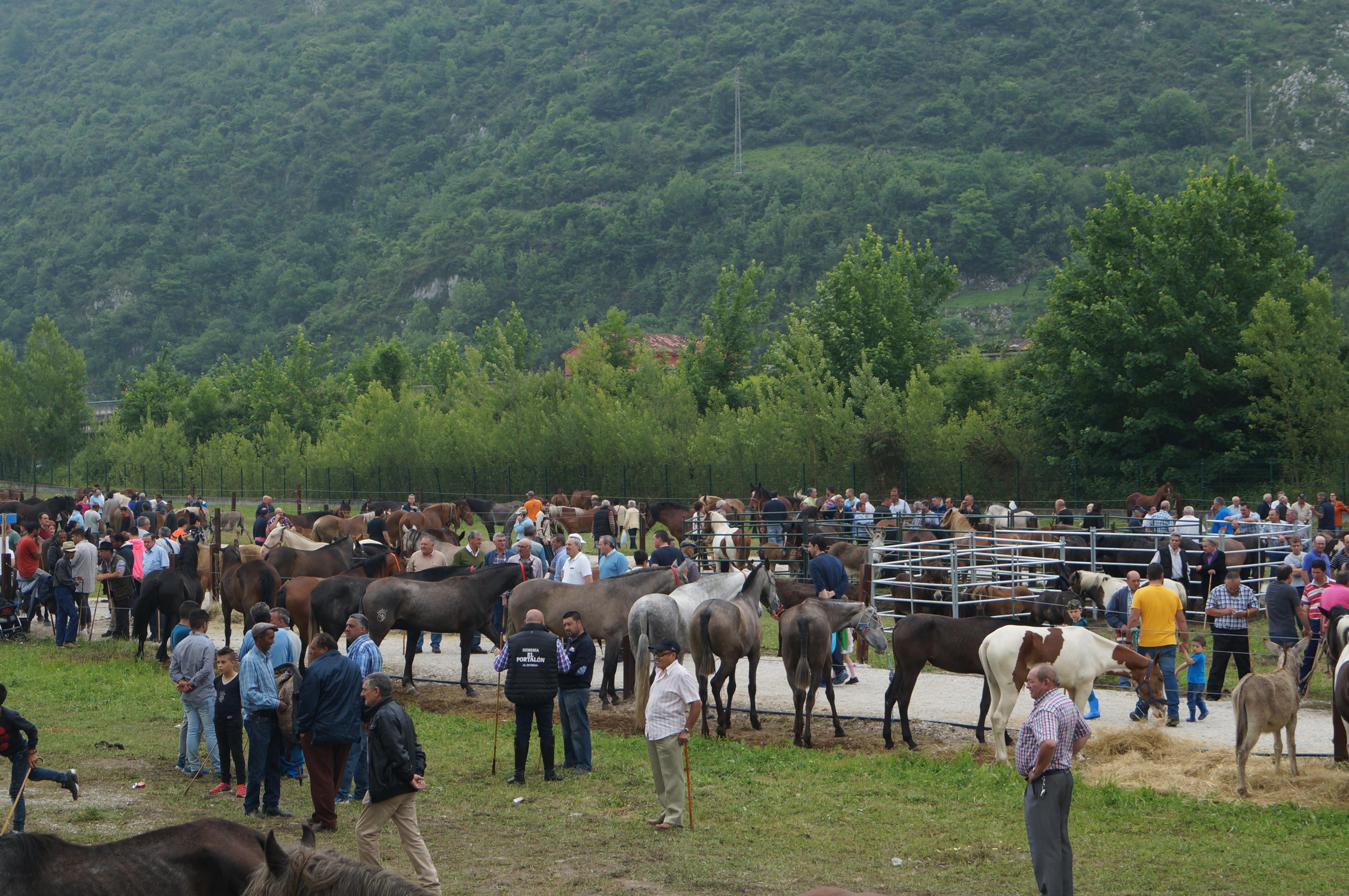 La Gala de las Estrellas ilumina la Feria de La Ascensión de Olloniego
