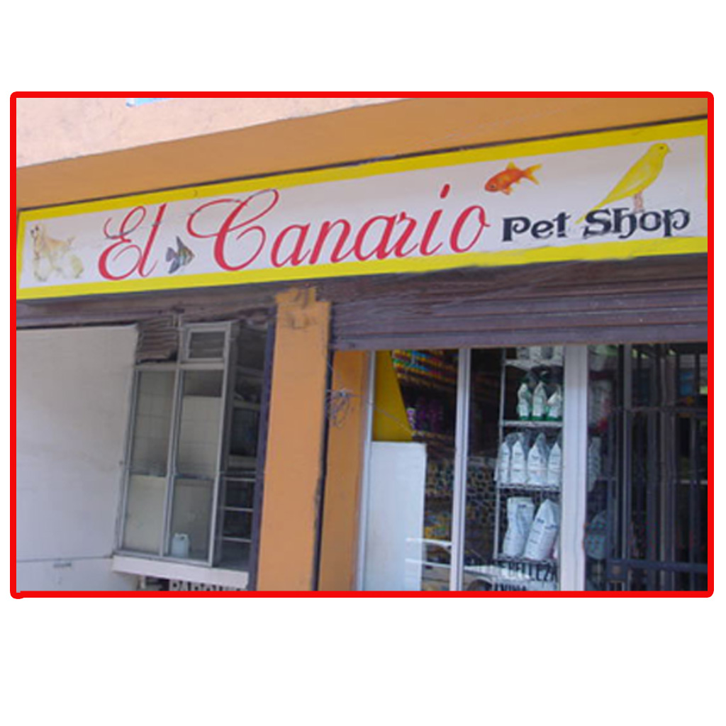 Services El Canario Pet Shop