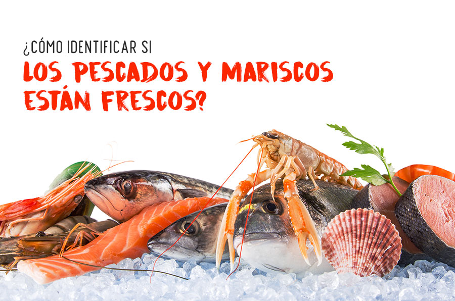 ¿Cómo identificar si los pescados y mariscos están frescos?