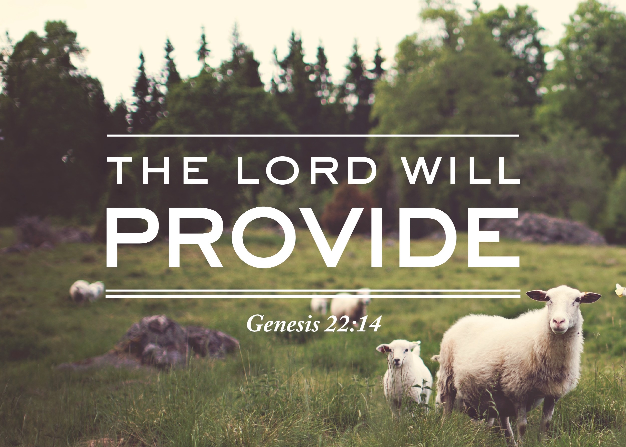 God will provide — This week at ELC Evangelical Lutheran Church of Mt