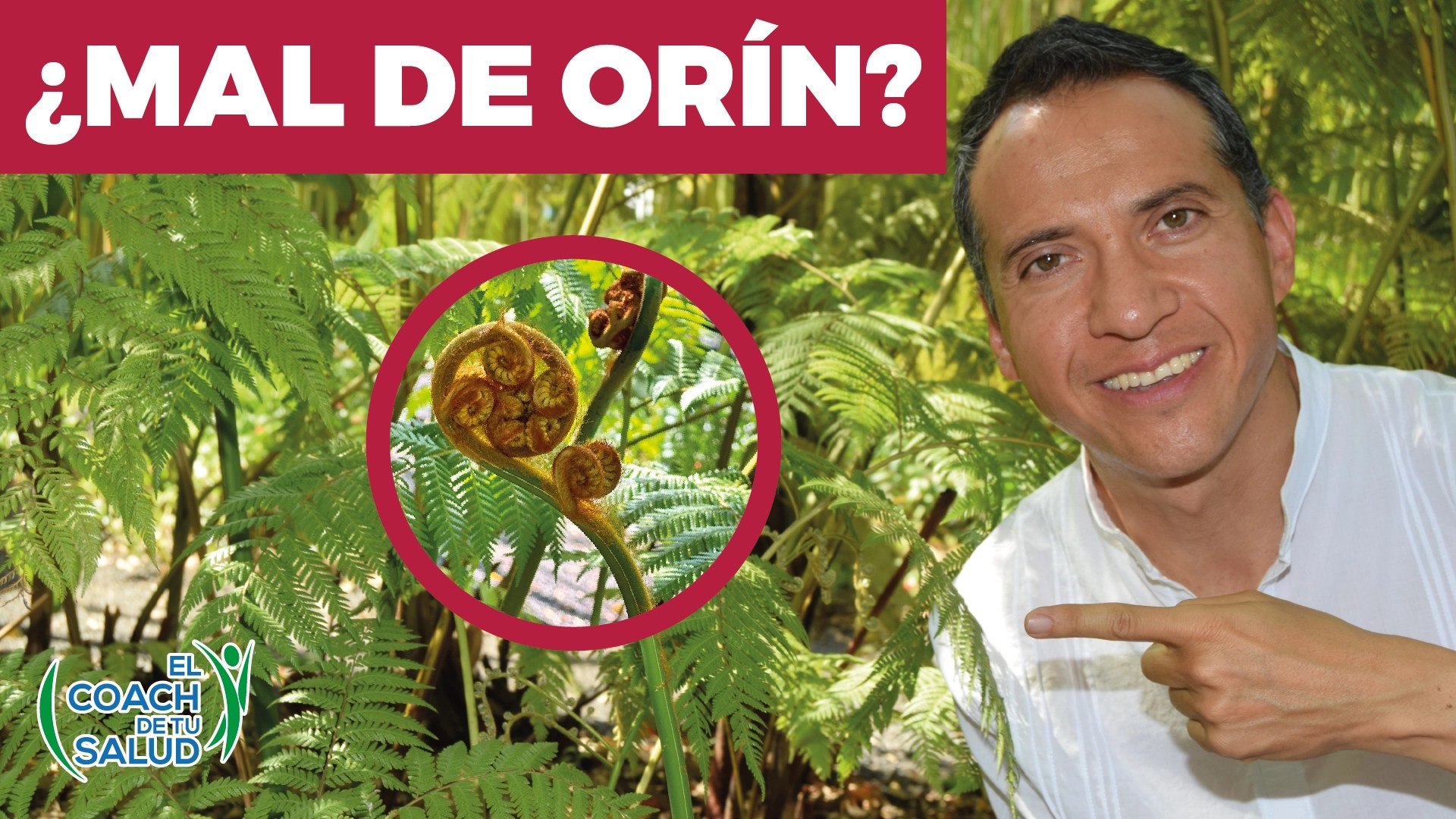 Alivia el ardor del mal de orín con té de Chivo pez El Coach de tu Salud