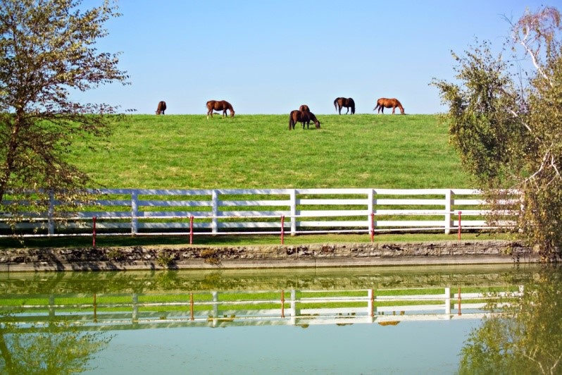 Maryland’s Revised Regulations for Managing Water Quality ELCR