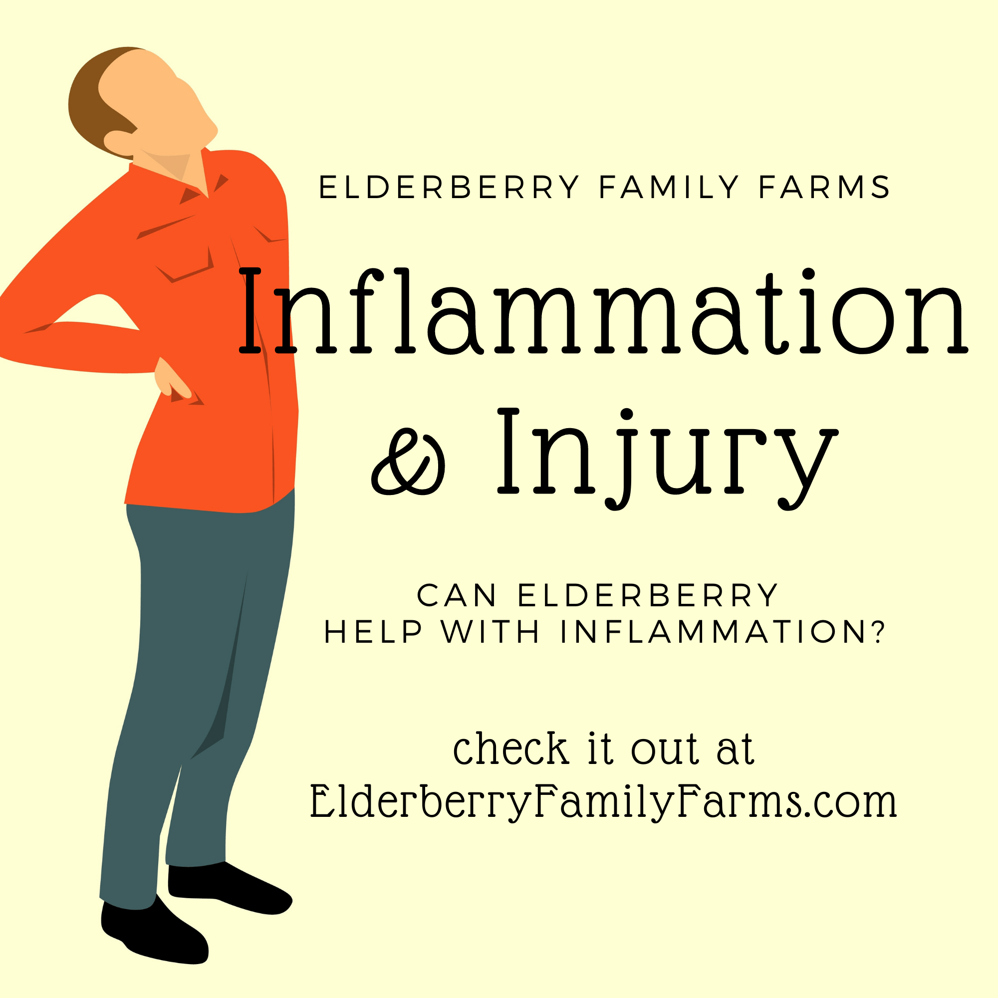 Inflammation and Injury Elderberry Family Farms