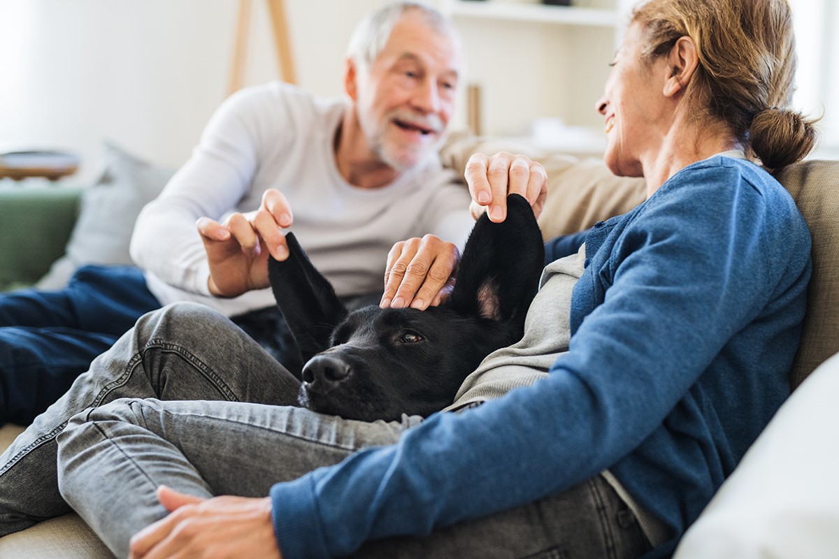 Benefits of Pet Therapy for Seniors Elder Care Alliance
