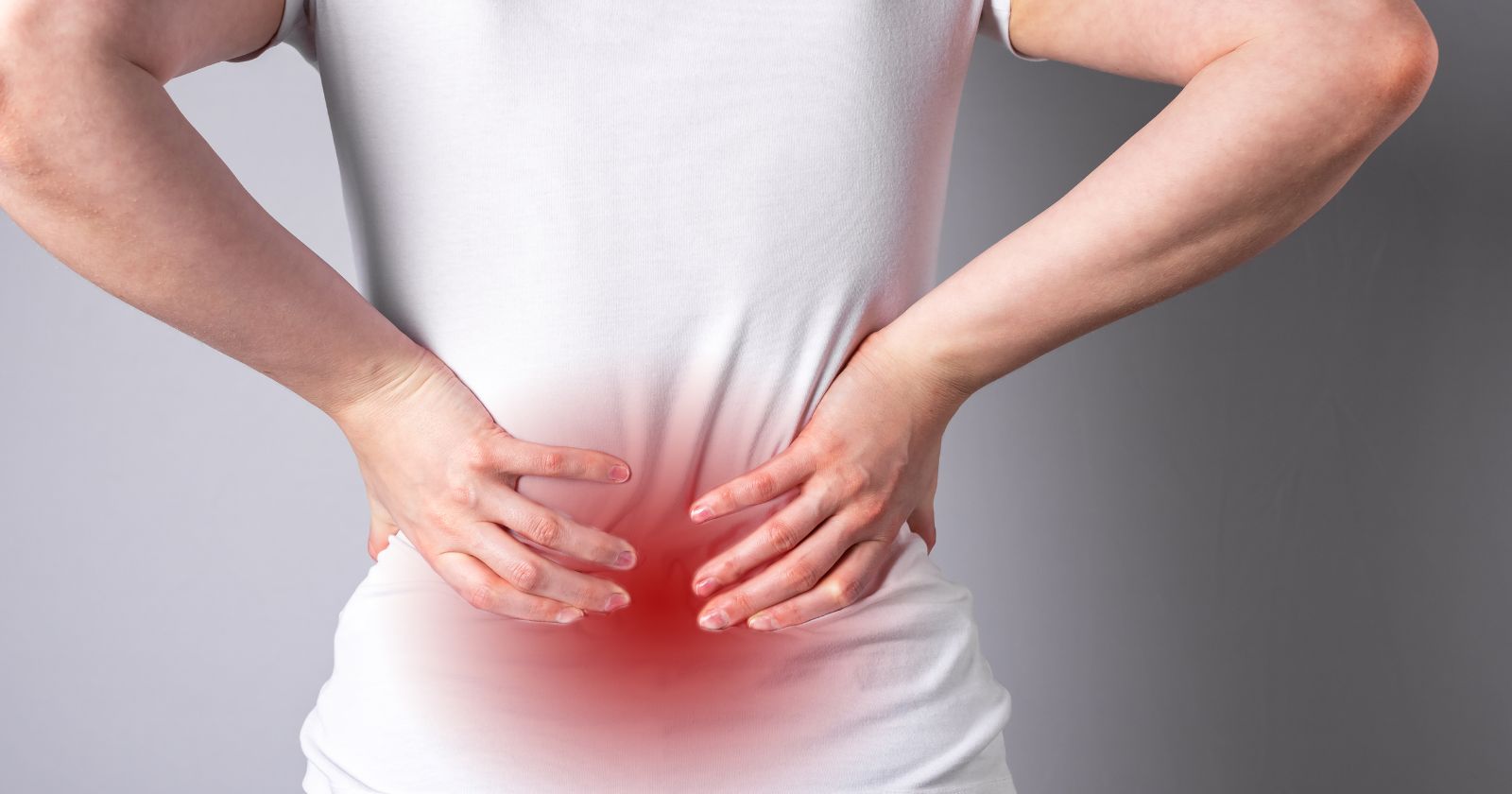 Single Best Exercise For Lower Back Pain Elderly Independence