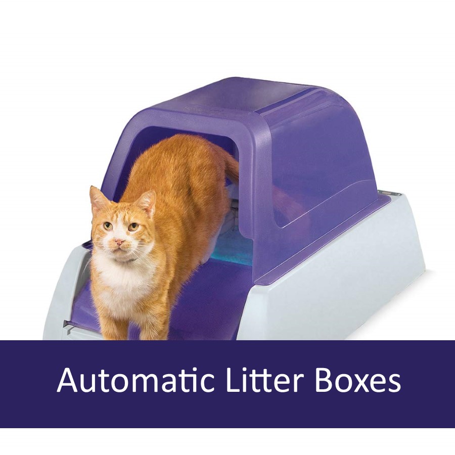 Automatic Litter Boxes for Elderly Pets