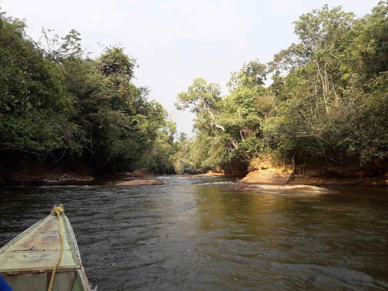 AmazoníaOrinoquía venezolana importancia ecológica y étnicocultural