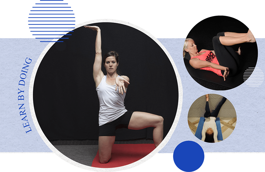 Home Official ELDOA site by Guy Voyer