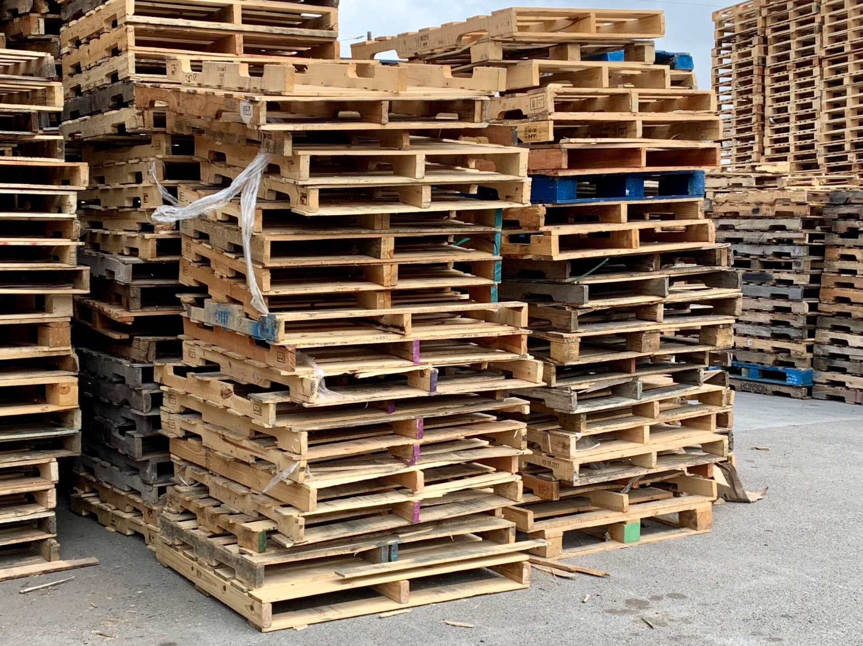 Buy & Sell / Pallet Repair Pallet Sortation / Heat Treatment El