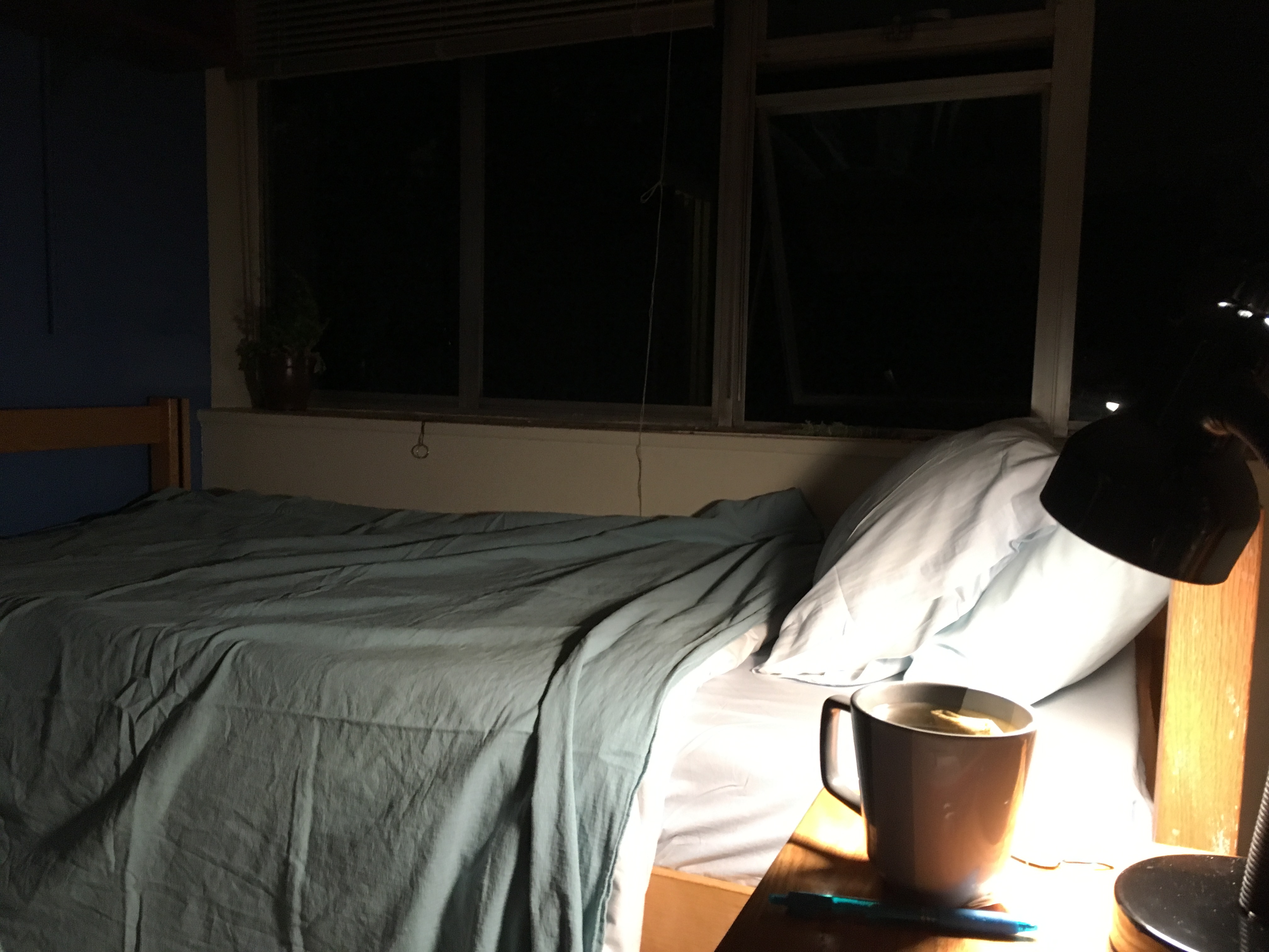 Tin House Summer Eleanor Limprecht