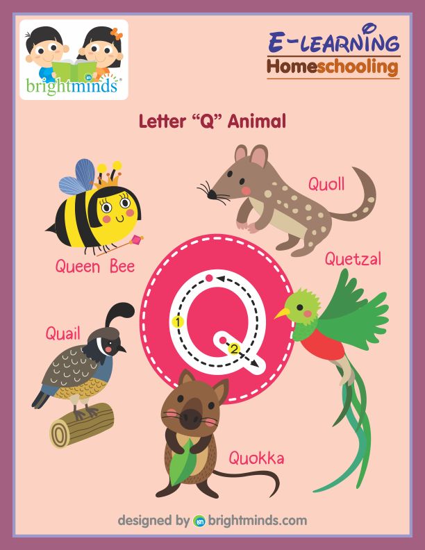 Writing AZ Transport Bright Minds eLearning Platform