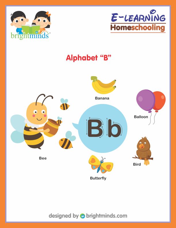 English Bright Minds eLearning Portal