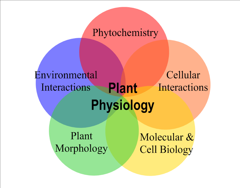 eLearning CBT 350 Plant Physiology