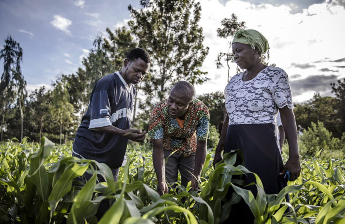 Course Introduction to the Farmer Field School Approach FAO