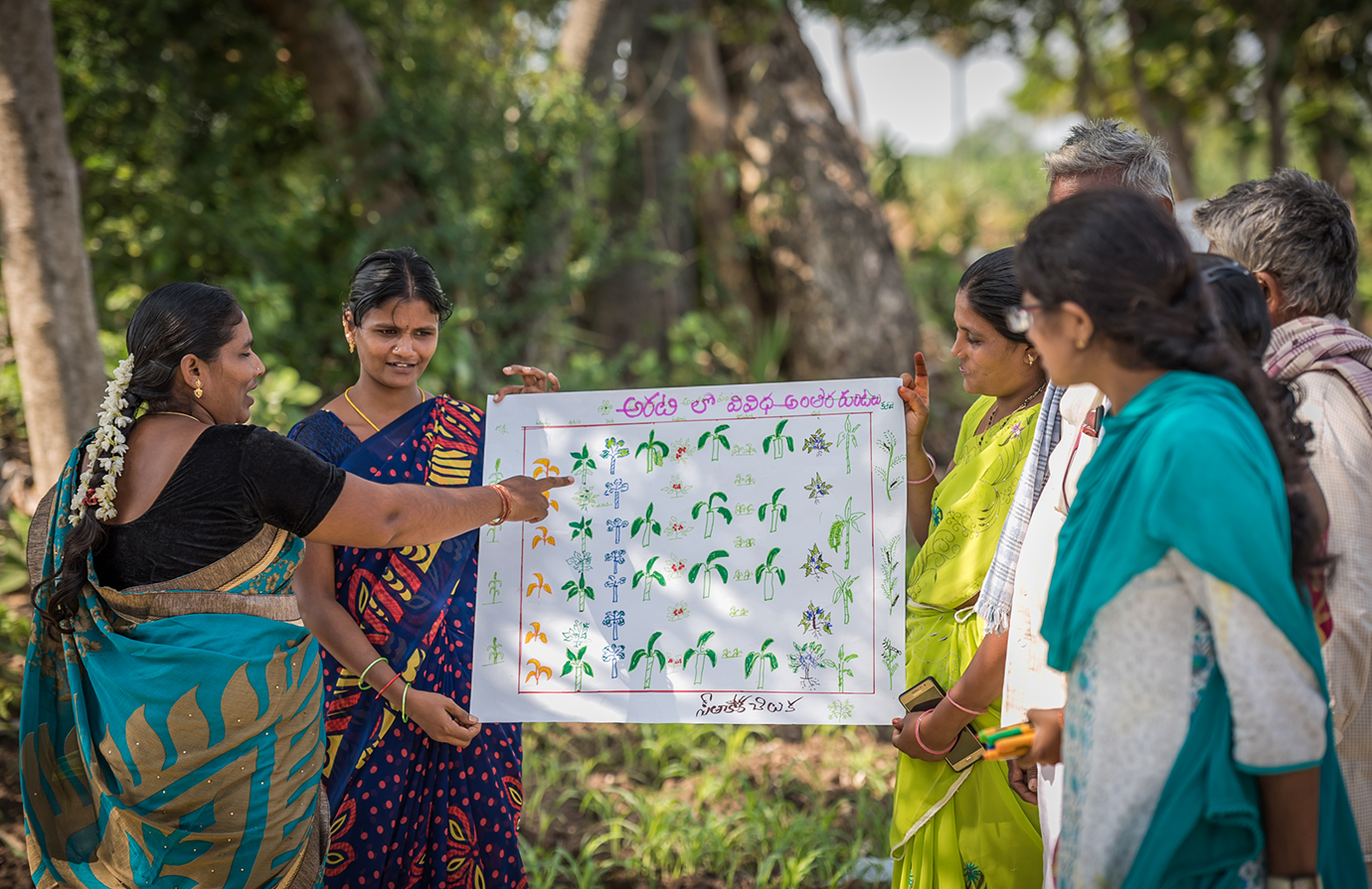 Course Implementation of Farmer Field School Programmes FAO