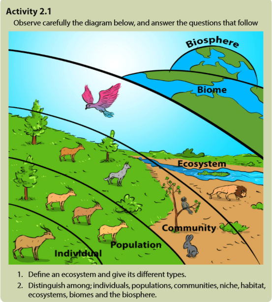 Course Biology, Topic UNIT 2 CONCEPT OF ECOSYSTEM