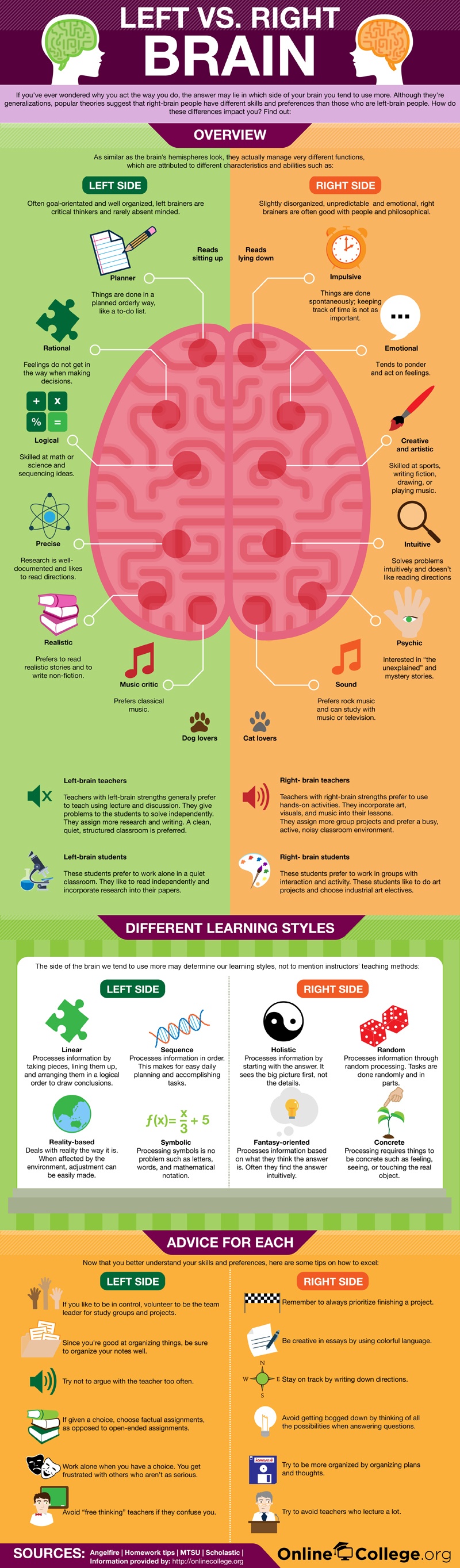 Left vs Right Brain Infographic eLearning Infographics