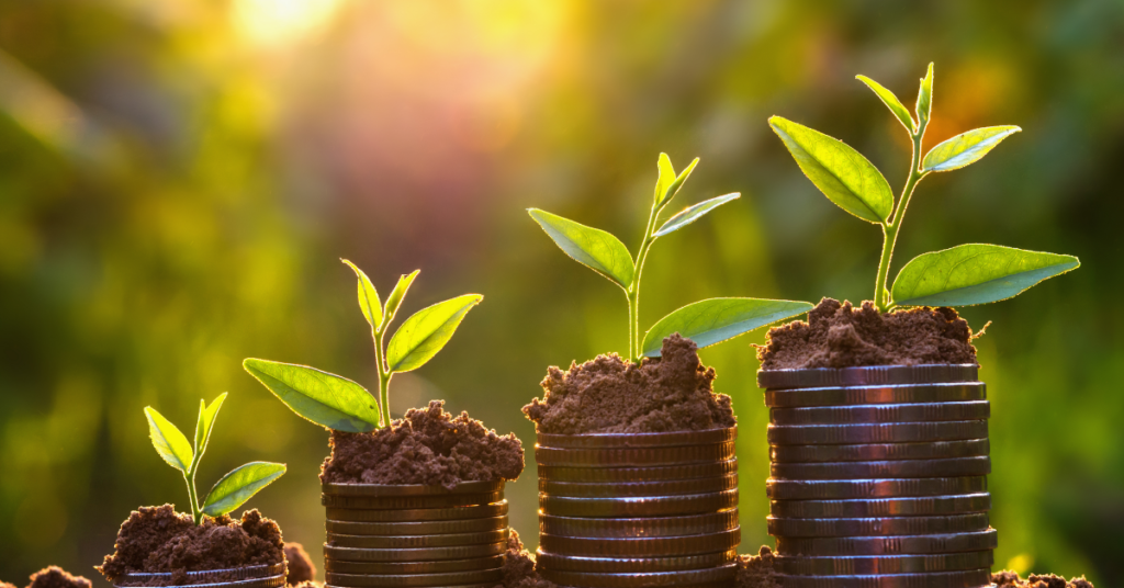 Personal Loan Or Personal Line Of Credit? ElecTel Cooperative Federal