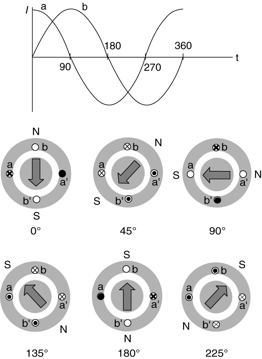 SinglePhase Induction Motor Working Electrical Academia