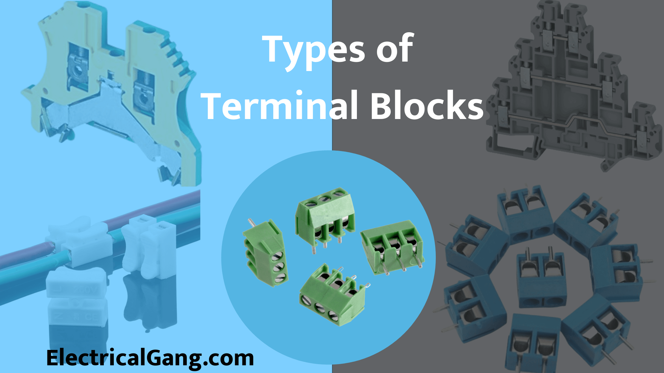 What Is a Terminal Block? Types of Terminal Blocks