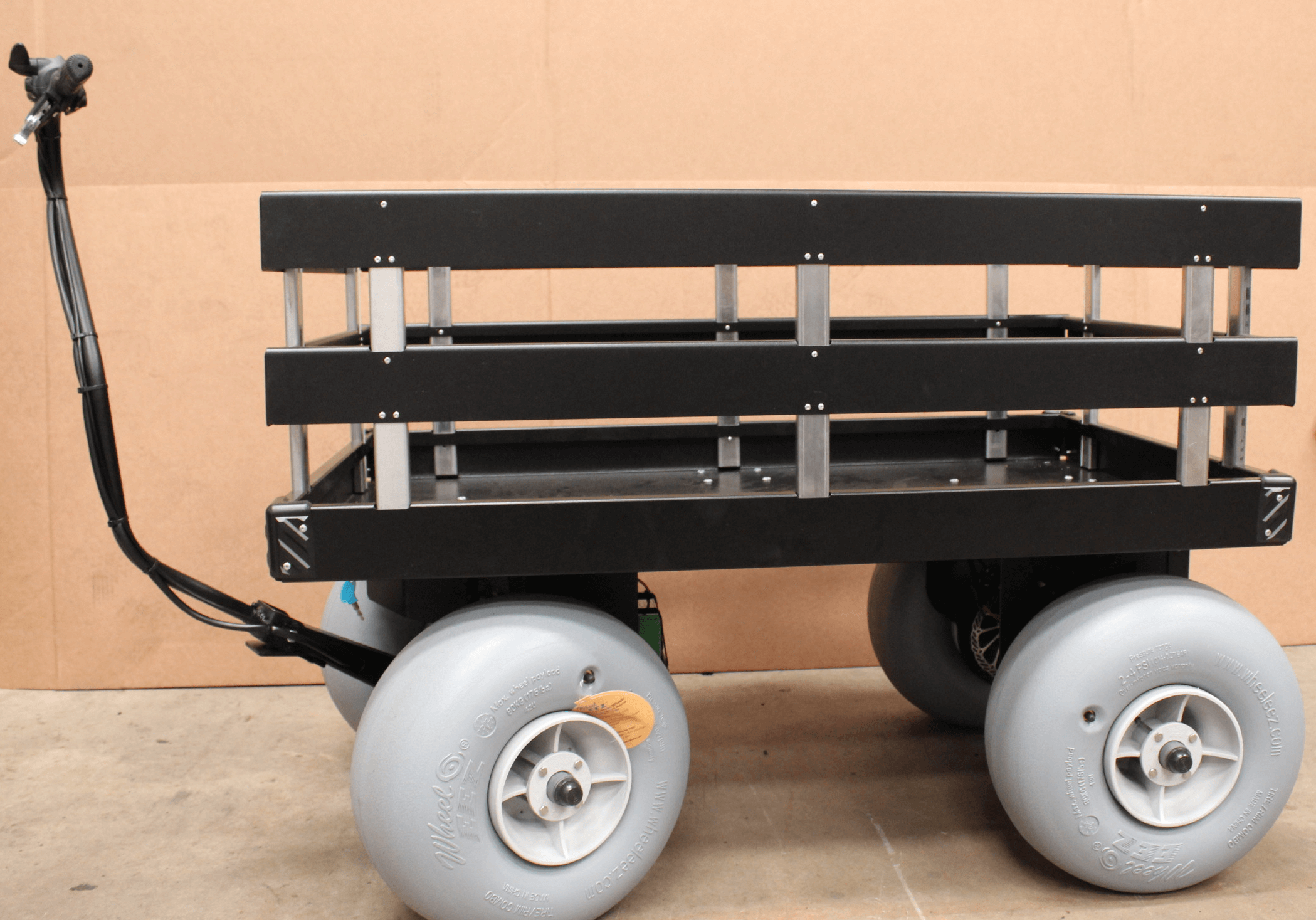 ebc6 (2) Electric Beach Cart