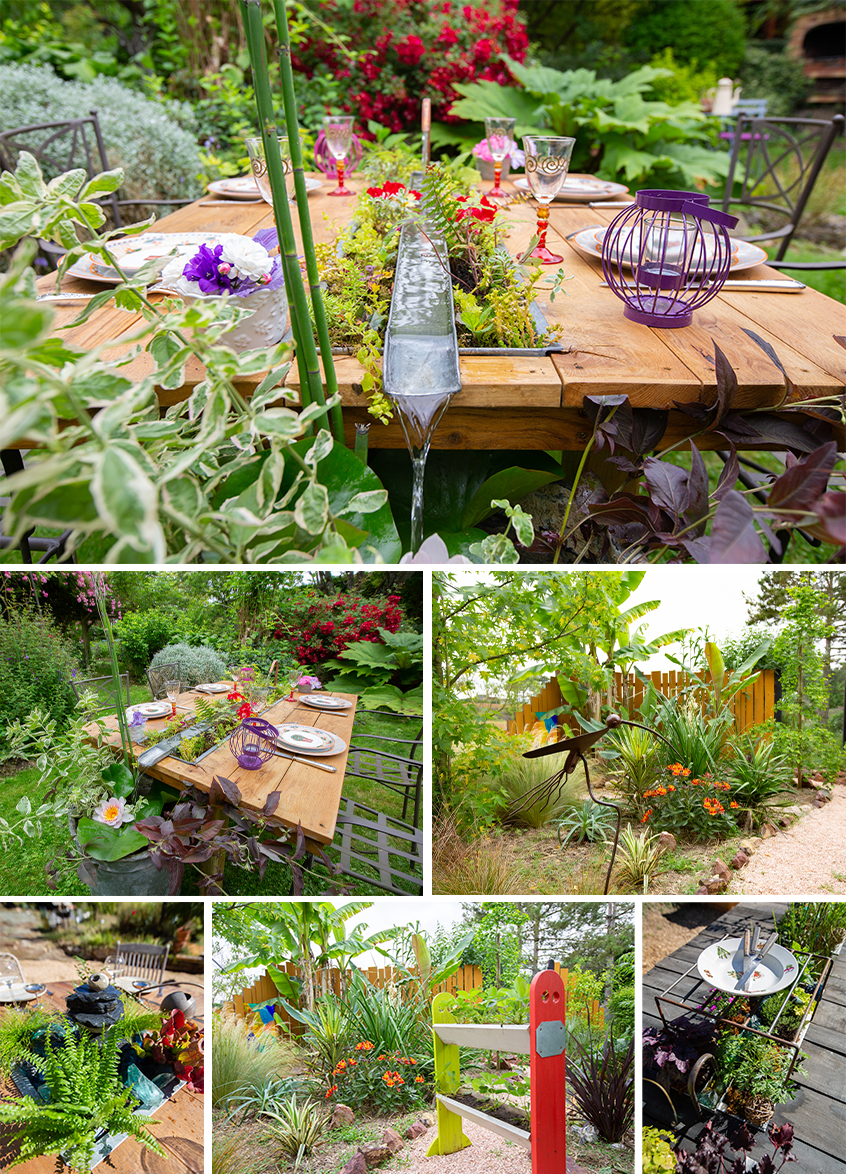 Esprit Vert Photos Electric Dog