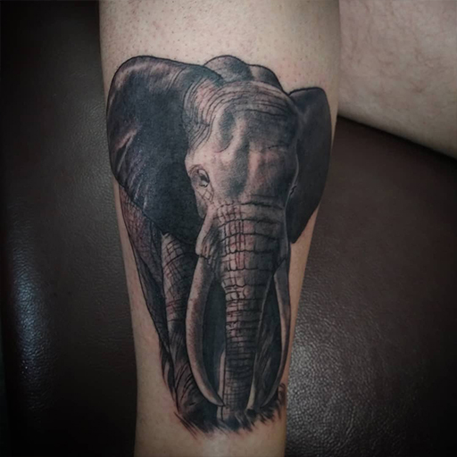 Electric Eye Tattoo Electric Eye Tattoo 9188131877