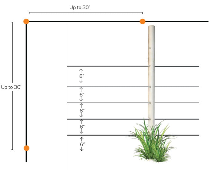 Beehives & Bears Electric Fence Canada
