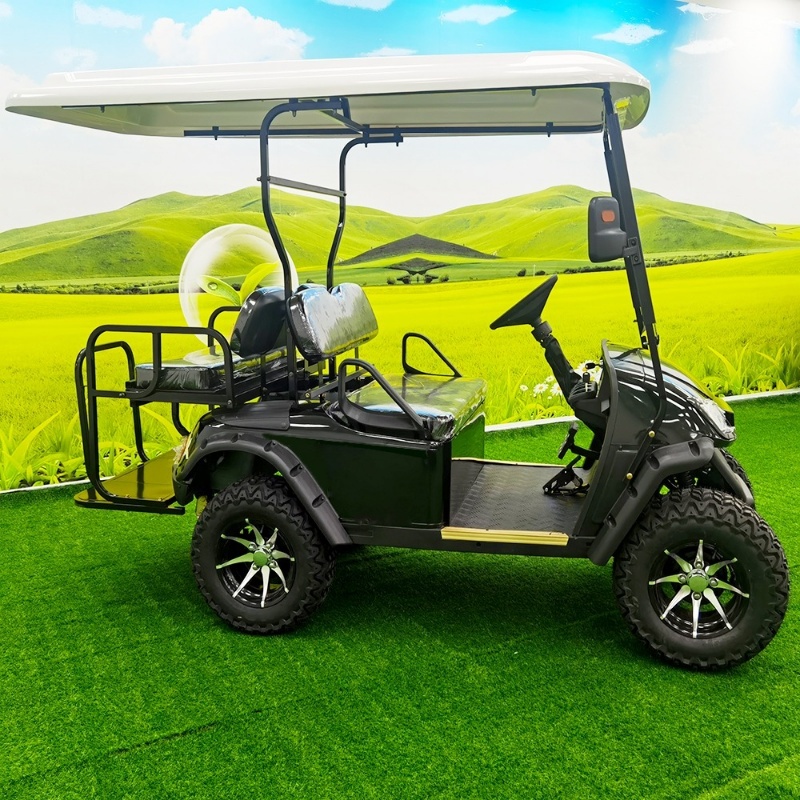 QS-A model A golf cart 2/4/6/8/10 seat can be custom - Qsen ELectric