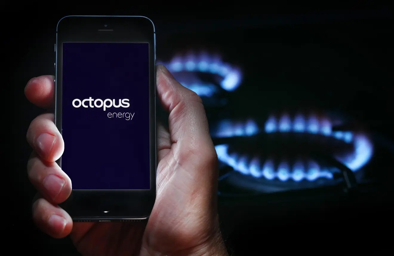 Octopus Energy launches new tool that tells you exactly how much your