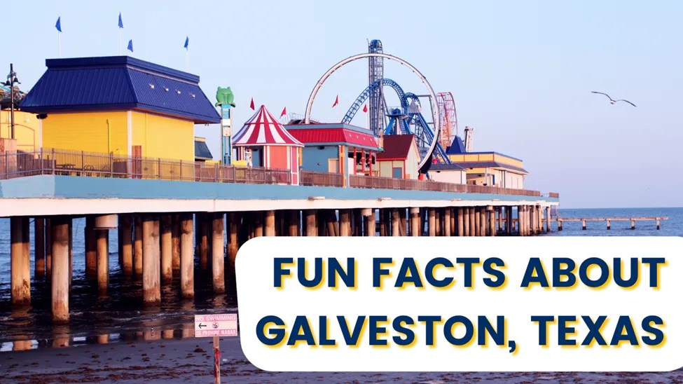 Galveston Electricity & Energy Guide Electricity Match