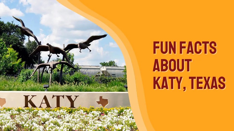 Katy Texas Electricity & Energy Guide Electricity Match