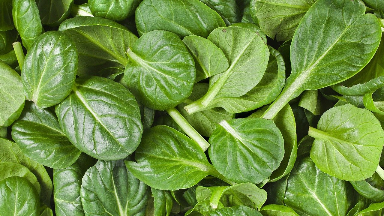 How Long Does Spinach Last? Best Electric Skillet Guide