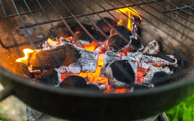 9 Reasons Why Your Charcoal Won't Light Electric Smoker HQ
