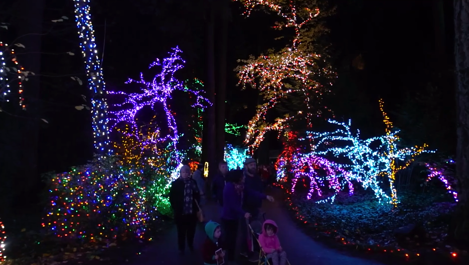 Holiday Lights are Illuminating Communities Across the United States