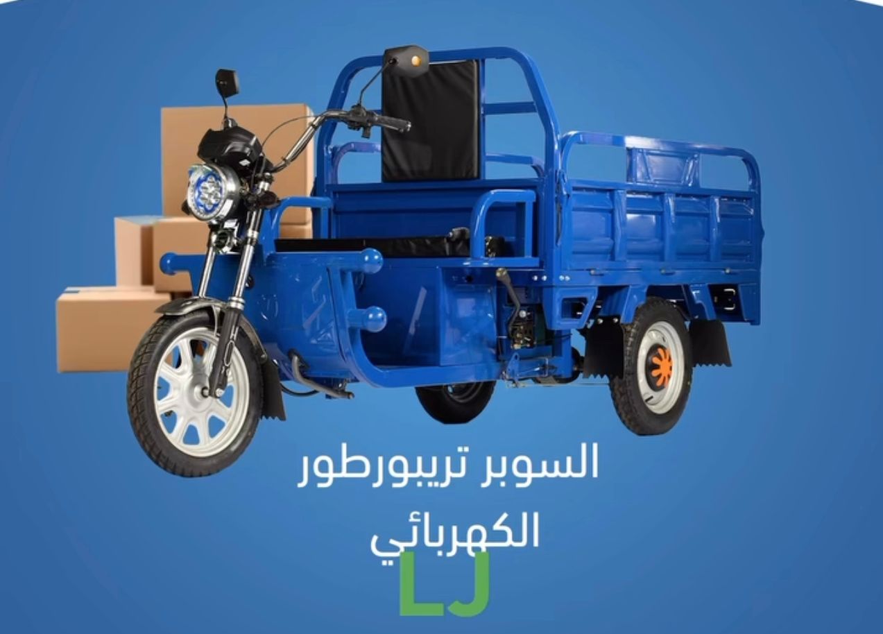 Triporteur LJ1000 Electrika