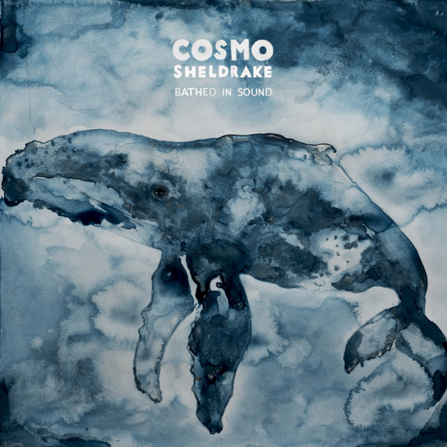 Cosmo Sheldrake Bathed In Sound Ambient, Experimental & Electronic