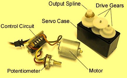 Servo Motor