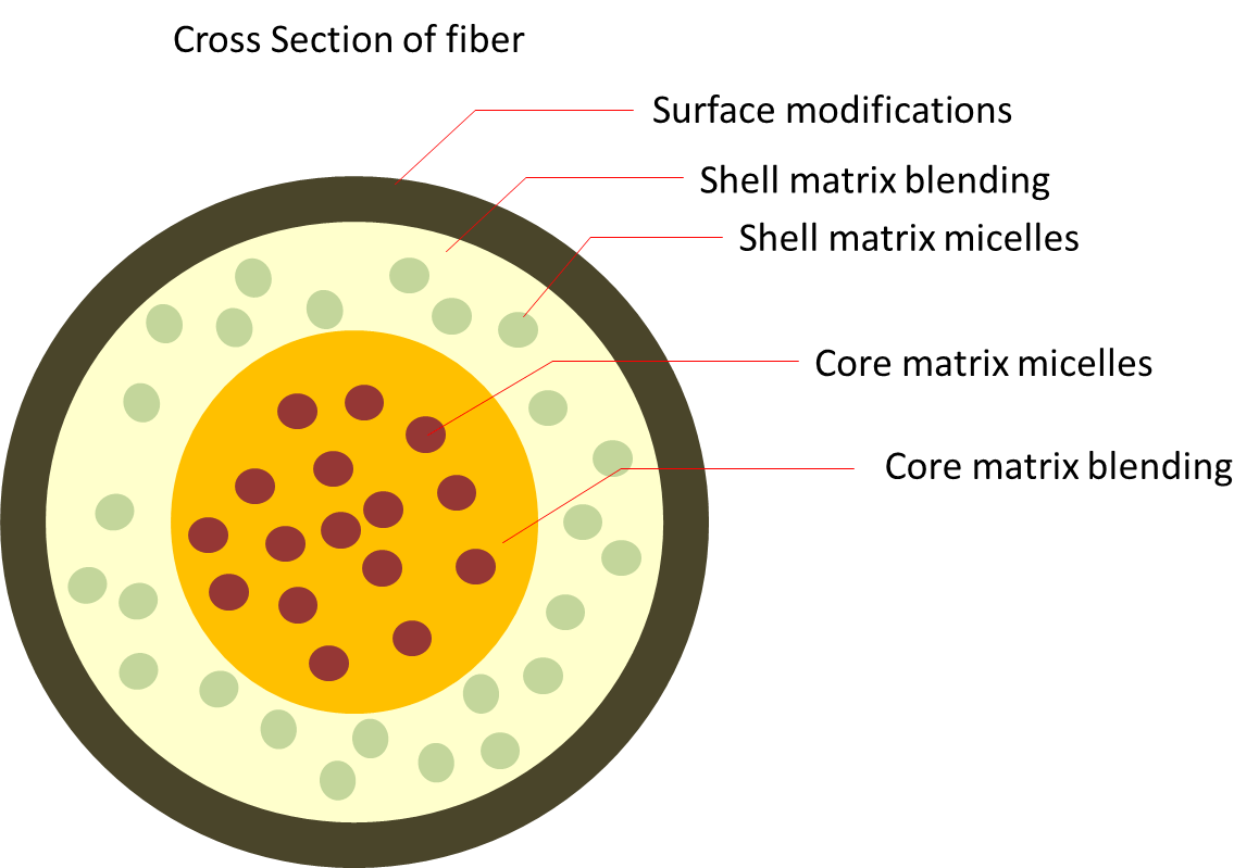 Multiphase drug release