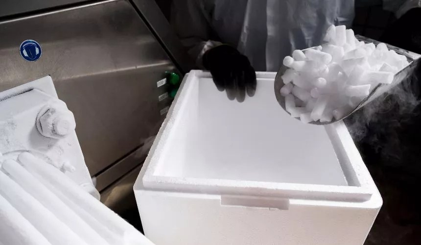 How To Use Dry Ice While Camping Dry Ice Uses Elegant Camping