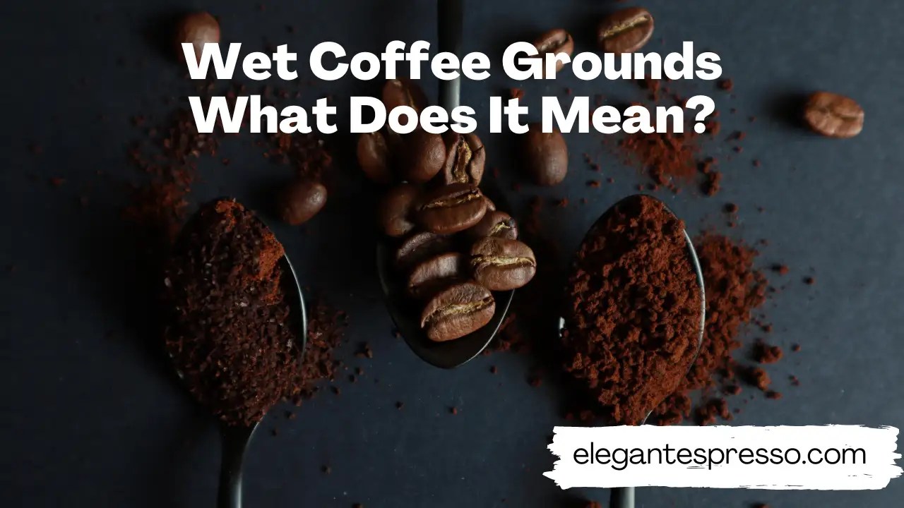 Wet Coffee Grounds What Does It Mean? Elegant Espresso