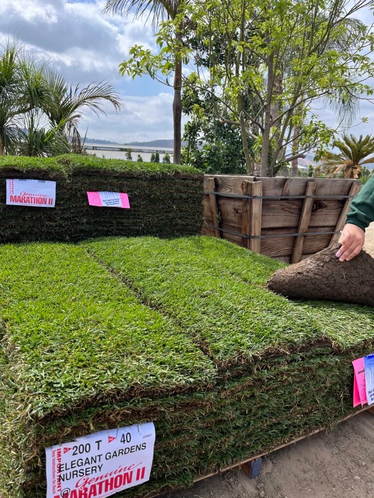 Sod b Elegant Gardens Nursery Moorpark, CA.