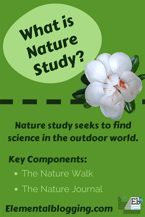 What Is Nature Study?