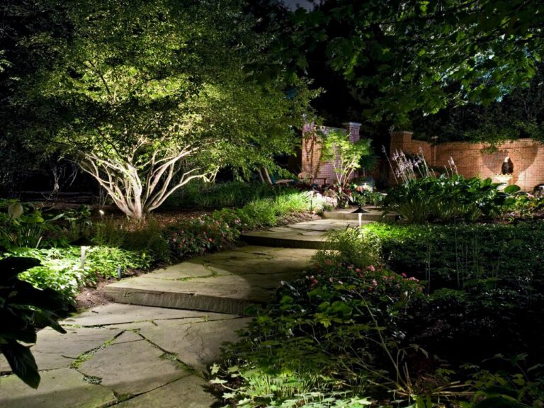 Drainage + Lighting Elemental Landscaping
