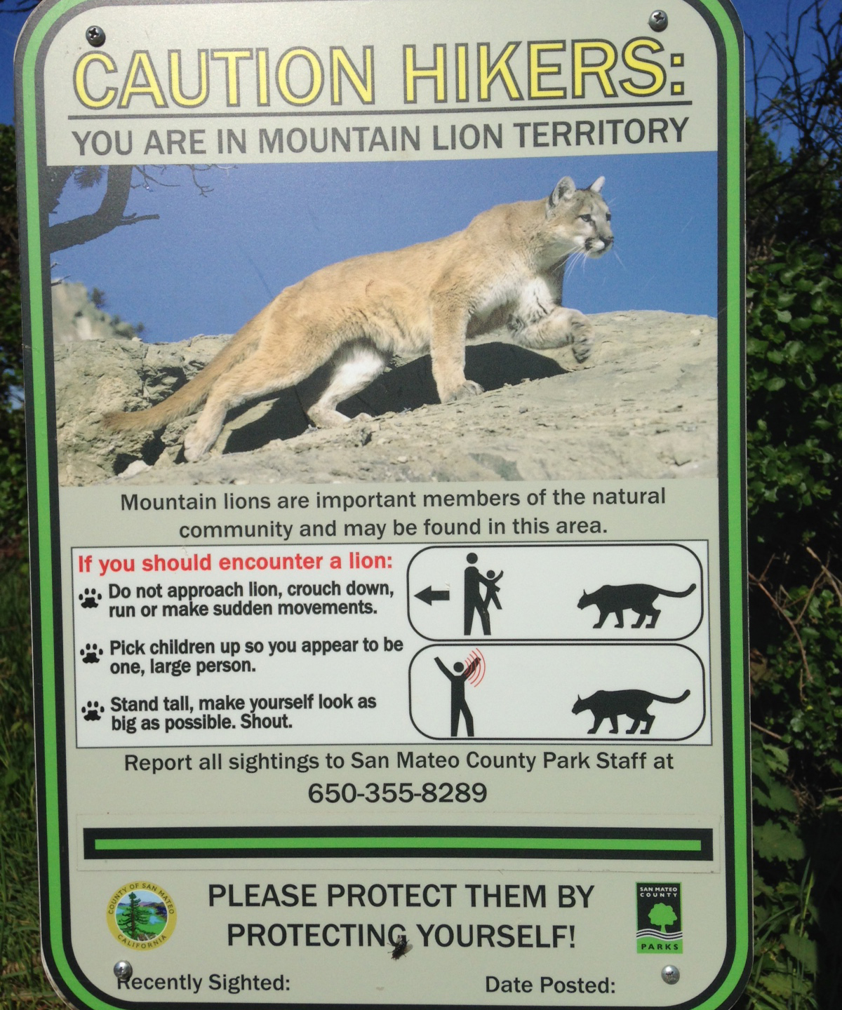 Dr. Benson's Cannabis Corner Blog 10 1+1=3 San Jose Cannabis