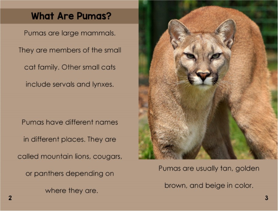 Pumas Elementary Explorers