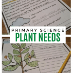 Engaging Plant Activities for the Elementary Classroom - Elementary Nest