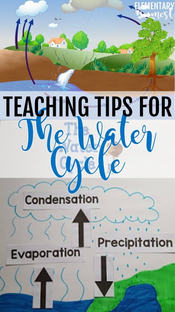 Teaching Water Cycle: Activities, Resources, and a FREEBIE - Elementary