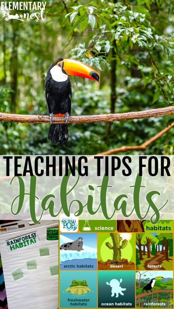 How to Teach Habitats (with a Freebie) Elementary Nest